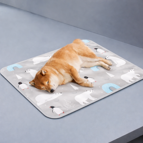 tapis rafraichissant petit chien