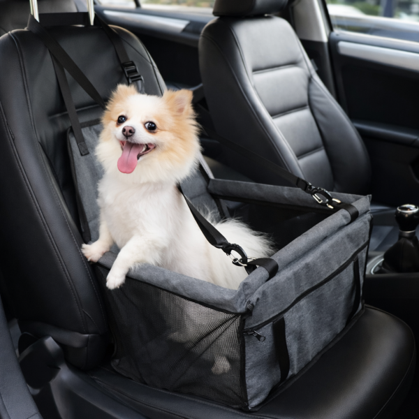 panier voiture petit chien