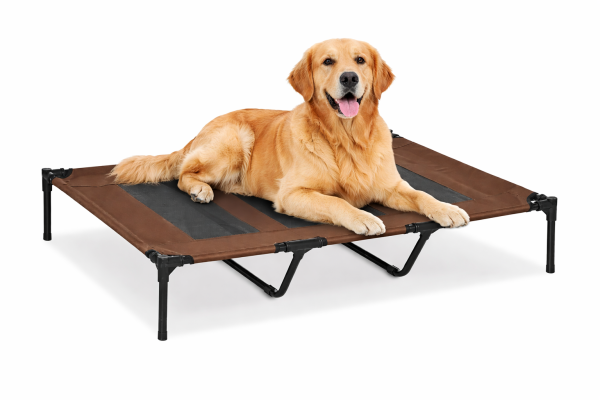 lit design pour chien