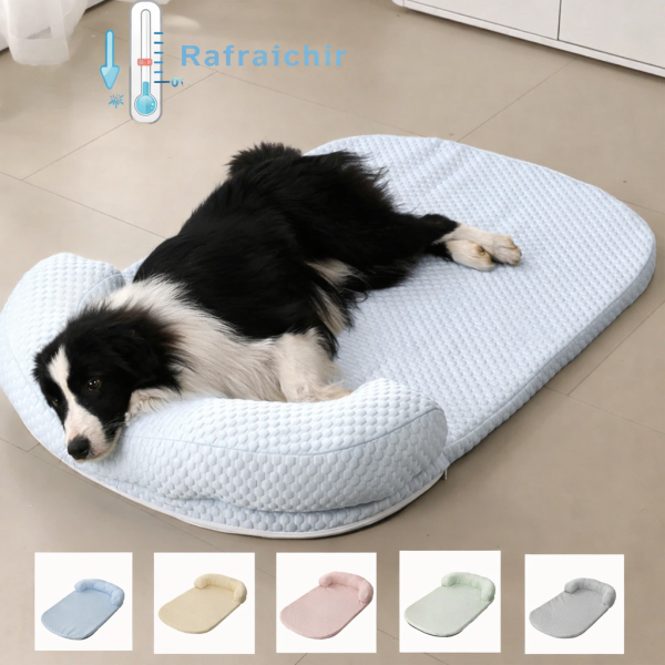 lit pour chien confortable