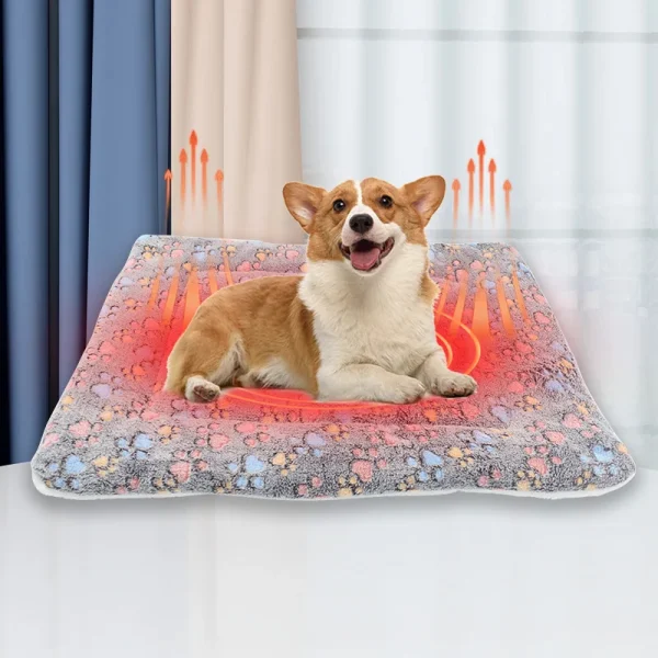 tapis confort pour chien