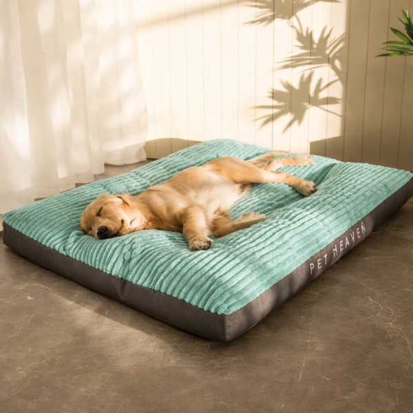 Tapis Confort Supérieur Chien