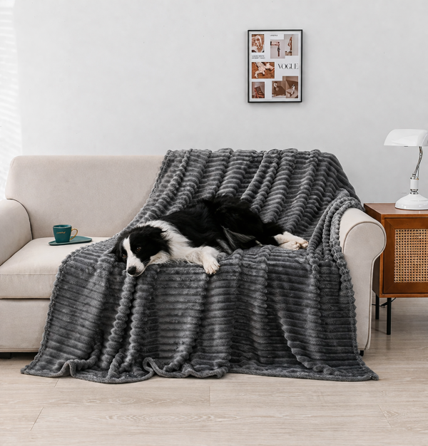Plaid doux pour chien