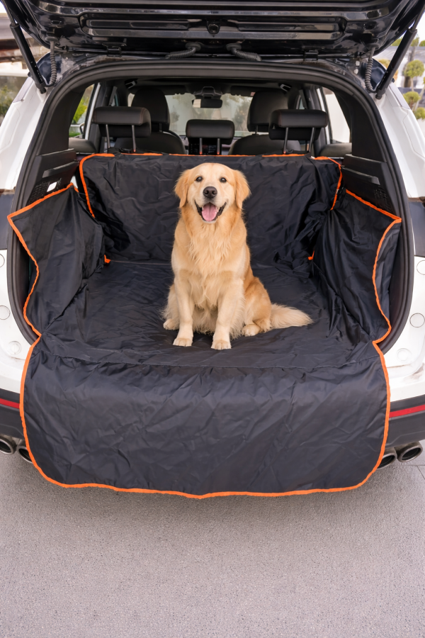 tapis de protection coffre chien
