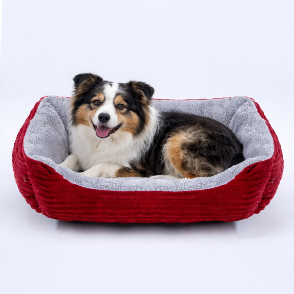 Panier Douillet Rectangle Chien