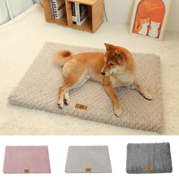 tapis mousse chien