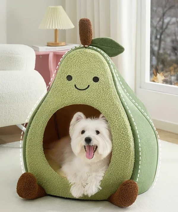 niche avocat chien
