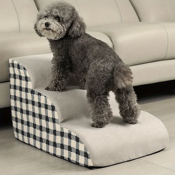 escalier pour chien