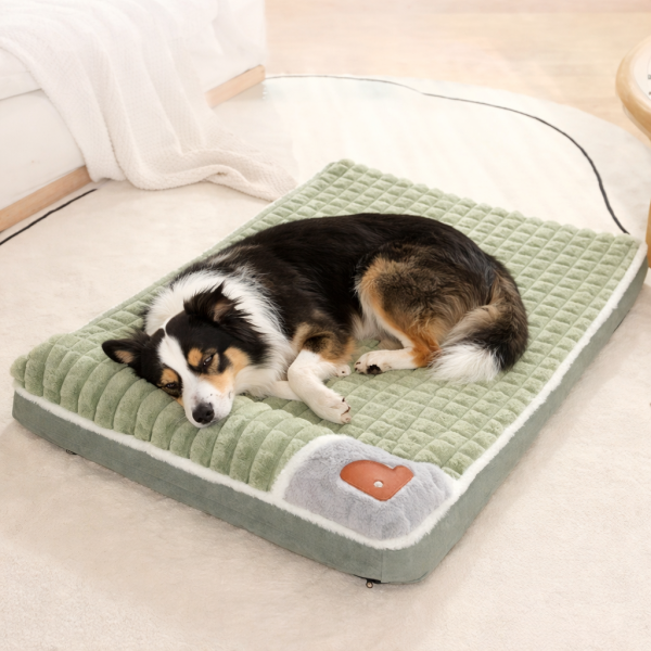 tapis moelleux chien