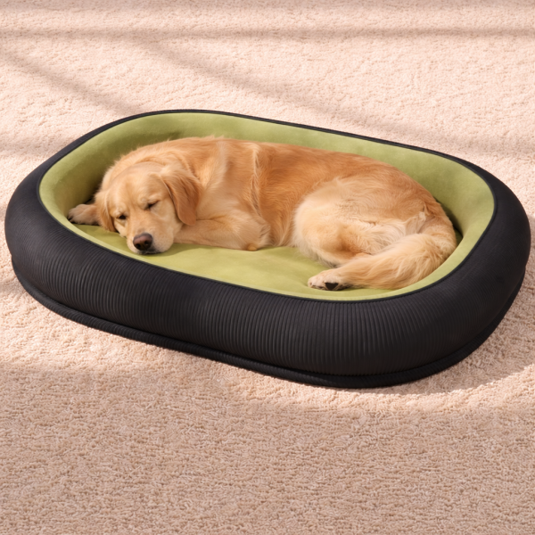 panier chien confort ovale