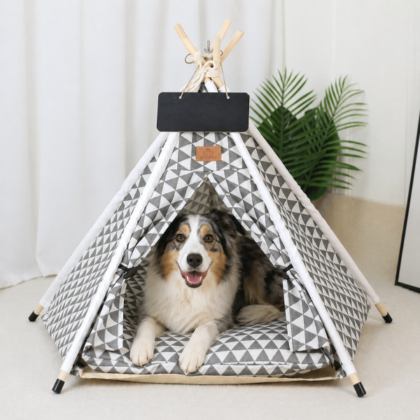 Tipi Pour Chien